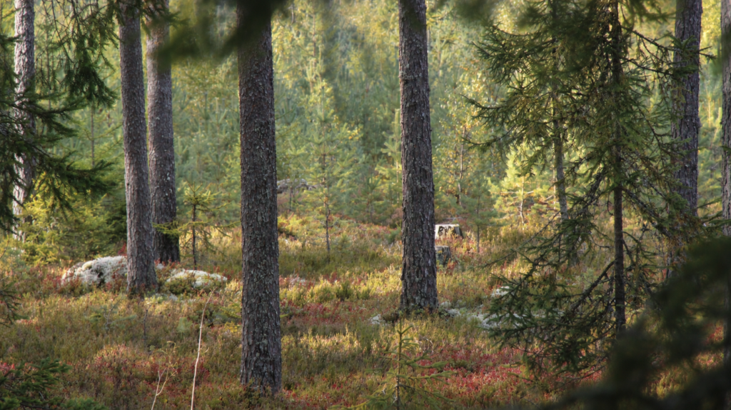 image-17-09-26-12-10-8