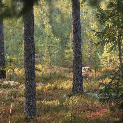 image-17-09-26-12-10-8